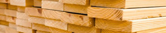 Softwood Suppliers In UAE